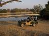 Ruaha River Lodge - Game Drive 